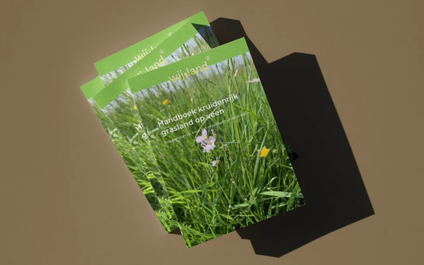 Kruidenrijk grasland op veen