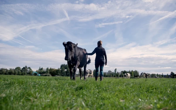 De boer als landschapsbeheerder: gat in de markt of permanent vrijwilligerswerk?